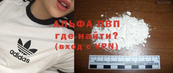прущие крисы Бородино