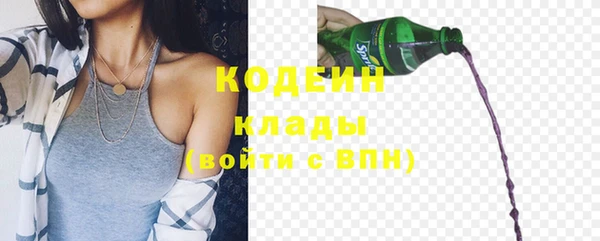 прущие крисы Бородино