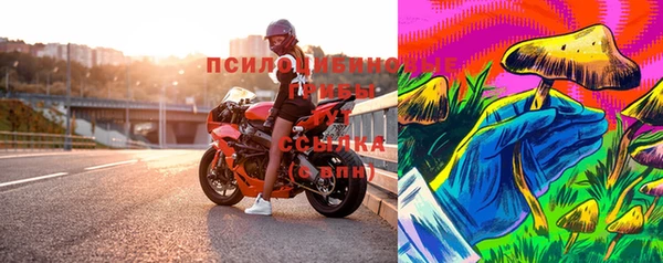 прущие крисы Бородино