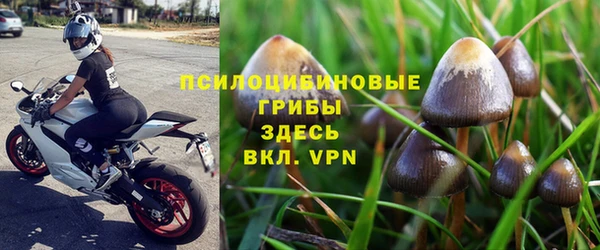 прущий лед Бронницы