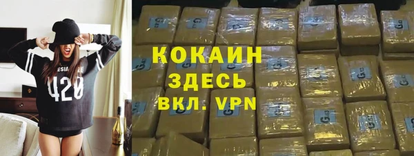 прущие крисы Бородино